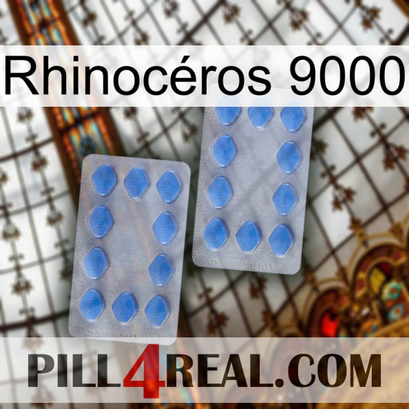 Rhinocéros 9000 20